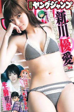 虎胆雄心第二部